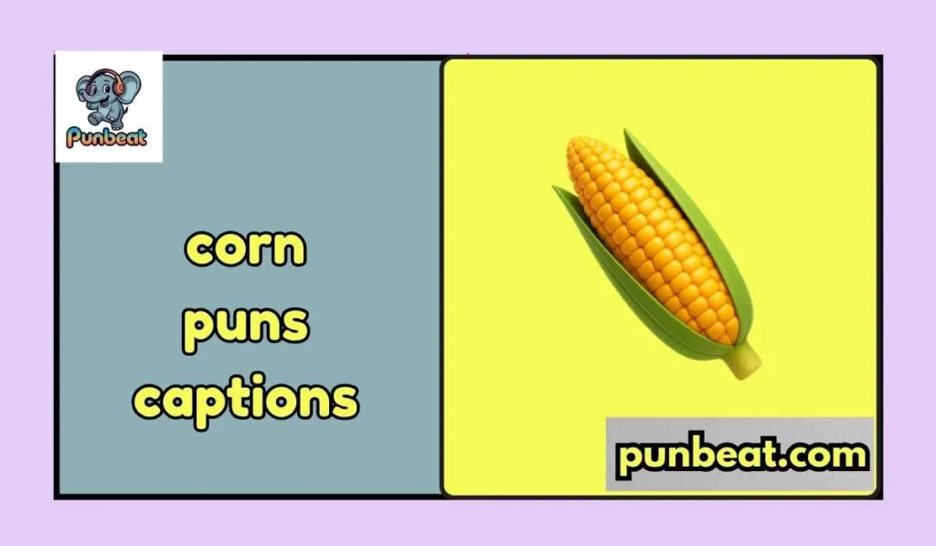 corn puns captions