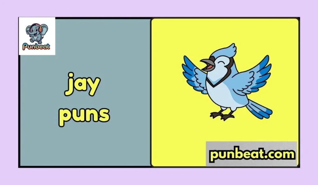jay puns