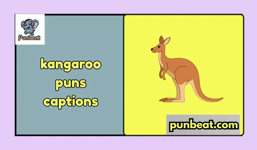 kangaroo puns captions