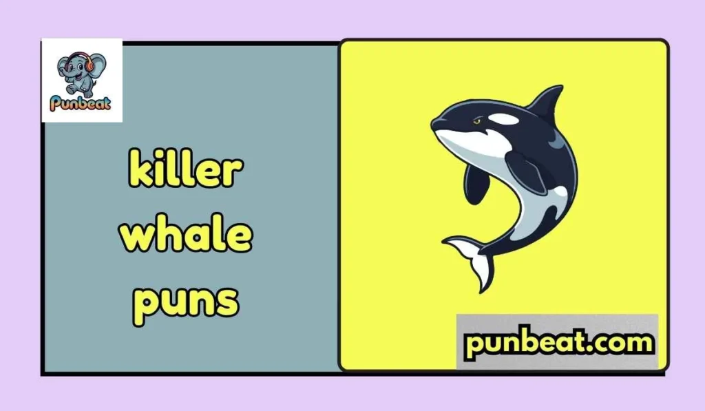 Killer whale puns