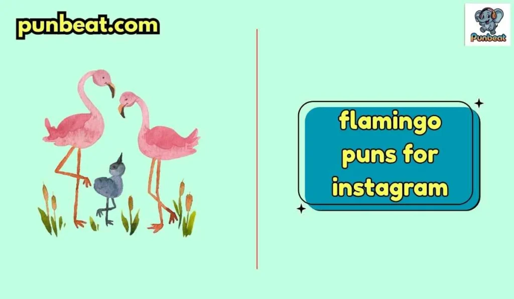 flamingo puns for instagram