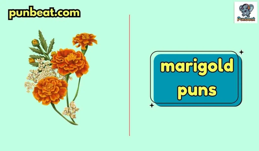 marigold puns