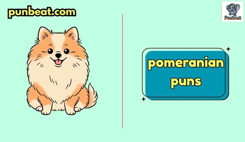 pomeranian puns