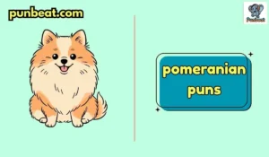pomeranian puns