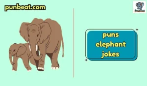 puns elephant jokes