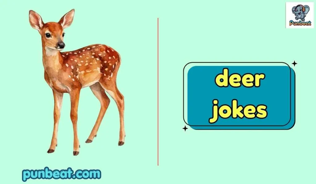 deer jokes