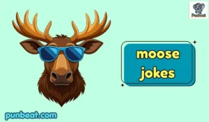 moose jokes