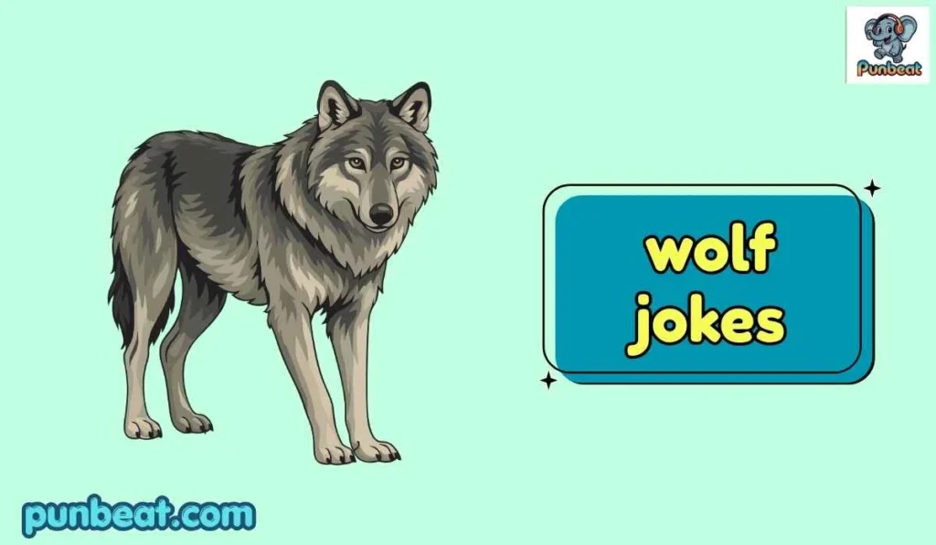 wolf jokes