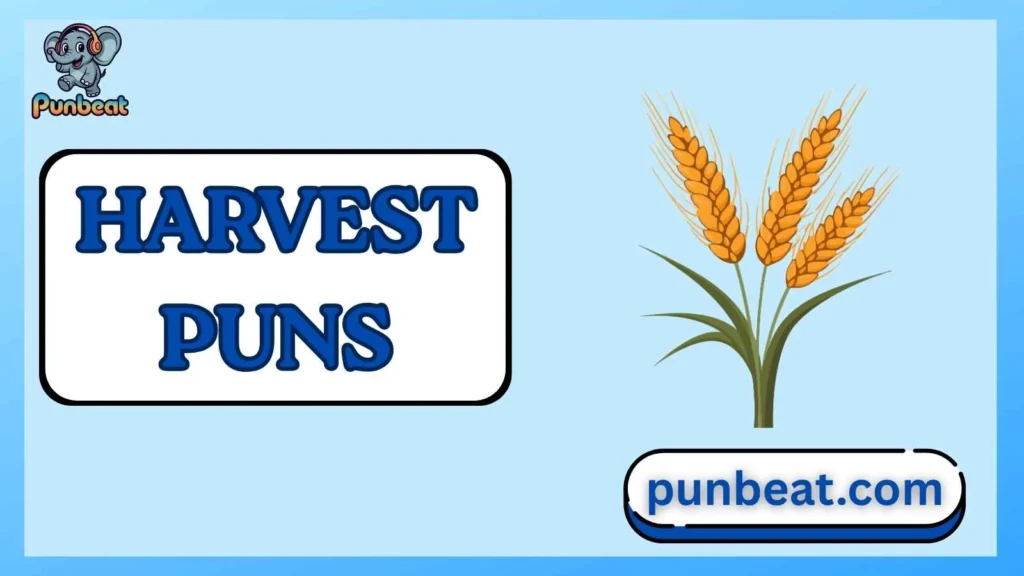 harvest puns